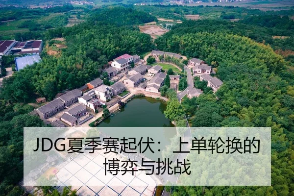 JDG夏季赛起伏：上单轮换的博弈与挑战
