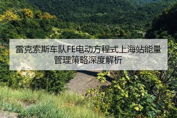 lei-ke-suo-si-che-dui-dian-dong-fang-cheng-shi-shang-hai-zhan-neng-liang-guan-li-ce-lve-shen-du-jie-xi-2-967.jpg