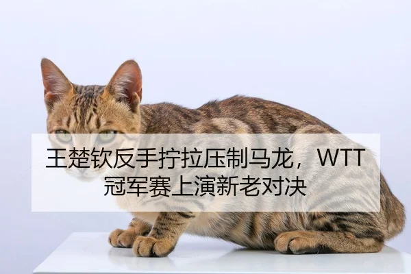 wang-chu-qin-fan-shou-ning-la-ya-zhi-ma-long-guan-jun-sai-shang-yan-xin-lao-dui-jue-3-827.jpg